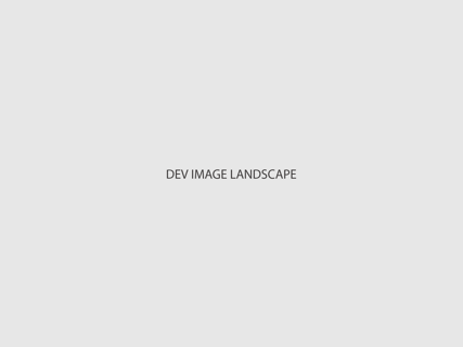 dev-landscape.png